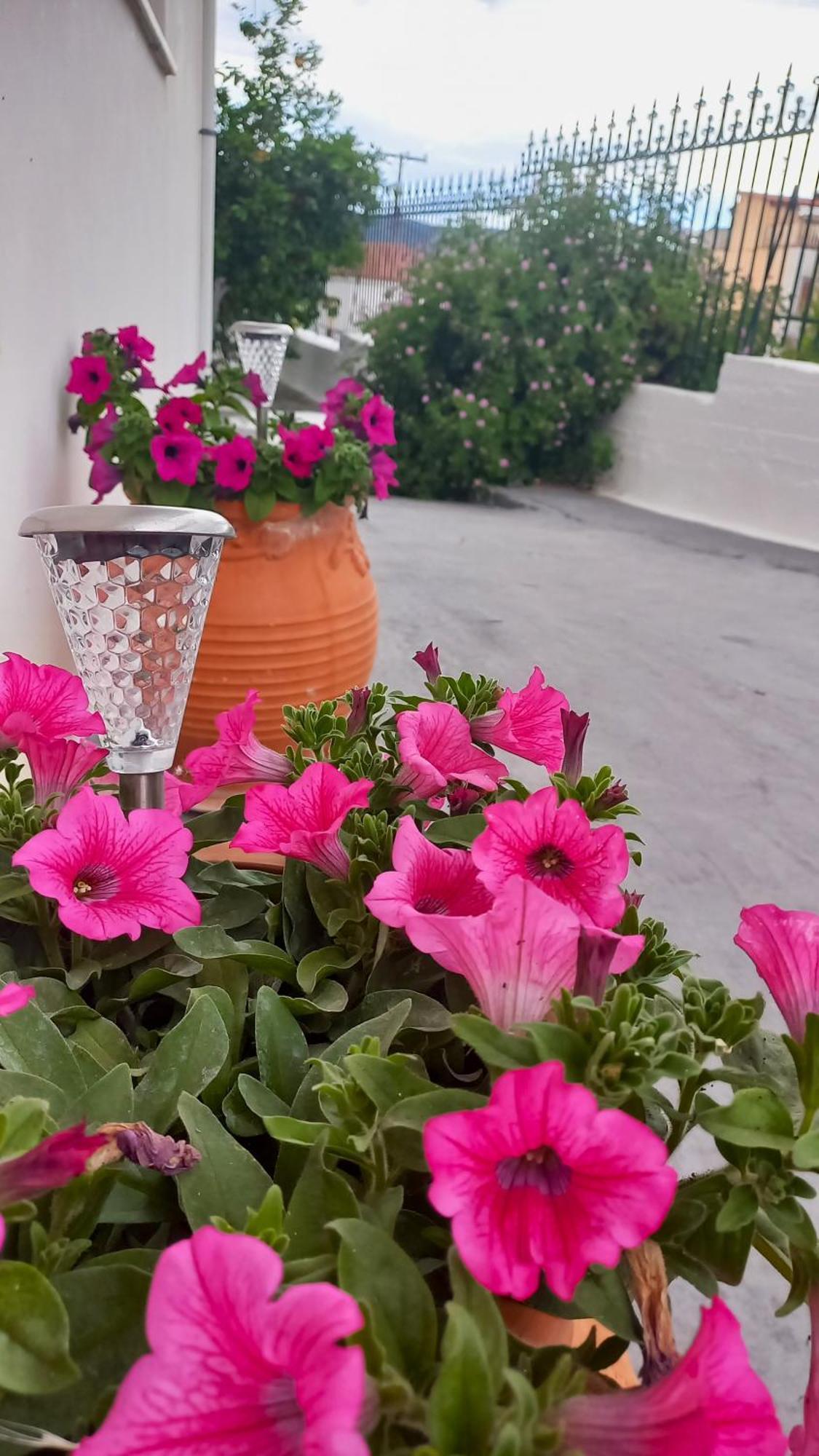 Triζin Apartment กาลาทาส ภายนอก รูปภาพ
